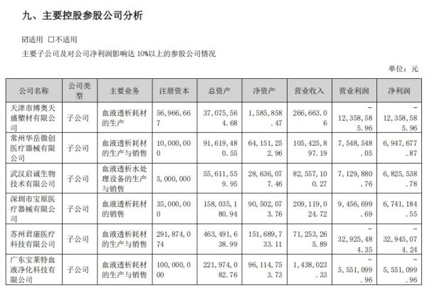 配资平台正规 300246，连续两年亏损