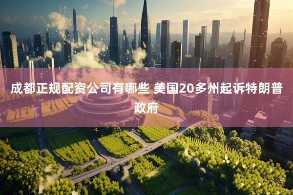 成都正规配资公司有哪些 美国20多州起诉特朗普政府