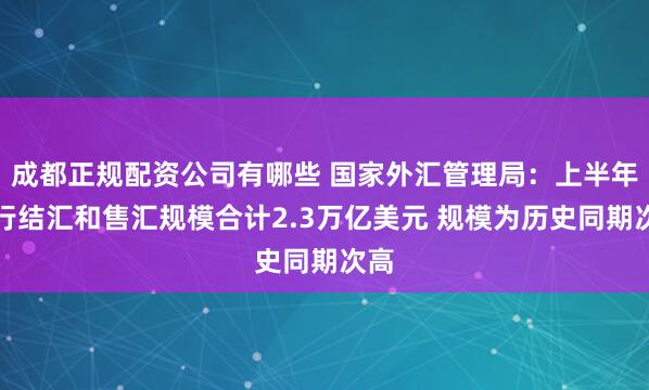 成都正规配资公司有哪些 国家外汇管理局：上半年银行结汇和售汇规模合计2.3万亿美元 规模为历史同期次高