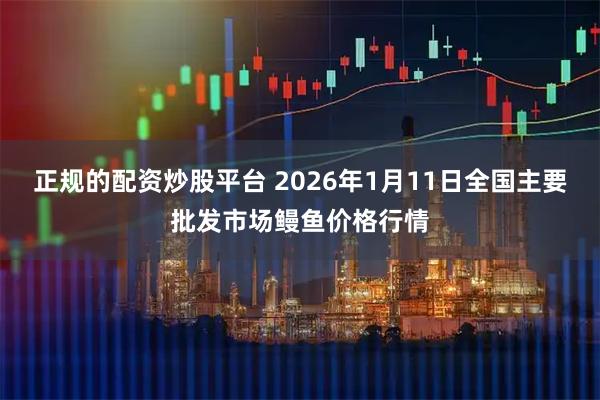 正规的配资炒股平台 2026年1月11日全国主要批发市场鳗鱼价格行情